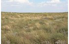Property photo 111 - LAND AUCTION, 3255+/- Acres offered in 13 Tracts